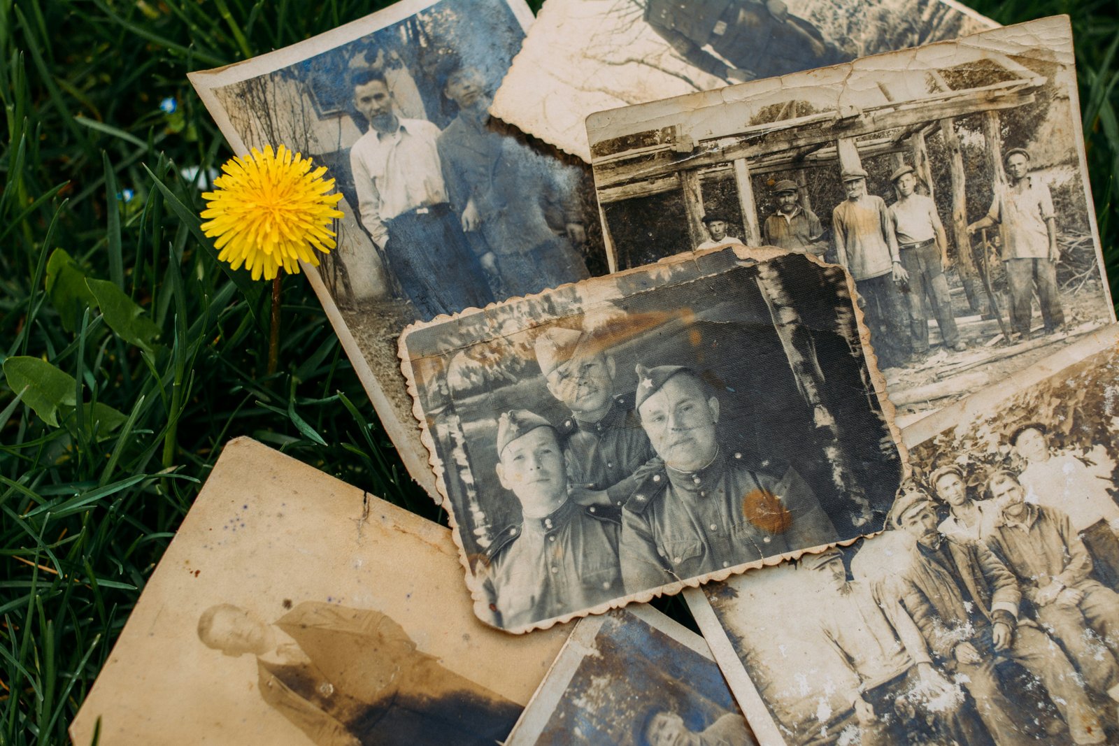 The History of Background Removal